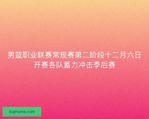 男篮职业联赛常规赛第二阶段十二月六日开赛各队蓄力冲击季后赛