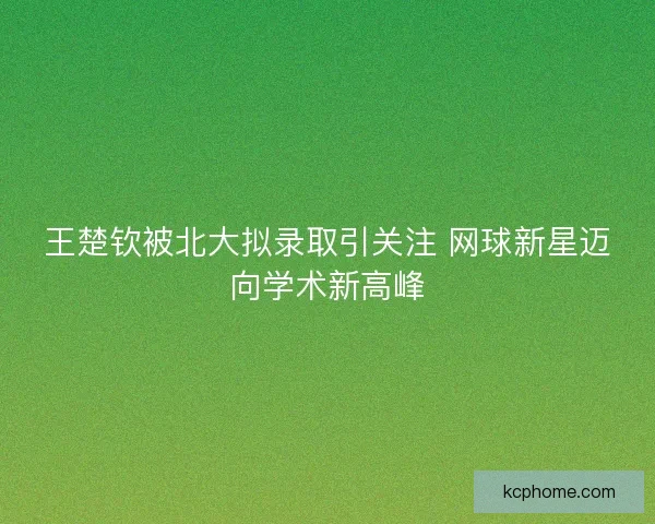 王楚钦被北大拟录取引关注 网球新星迈向学术新高峰