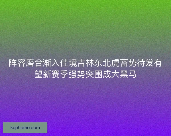阵容磨合渐入佳境吉林东北虎蓄势待发有望新赛季强势突围成大黑马 阵容磨合渐入佳境吉林东北虎蓄势待发有望新赛季强势突围成大黑马